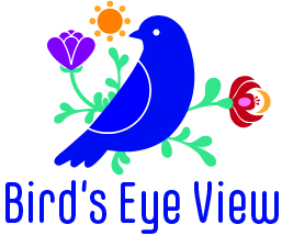 birds-eye-view.ca
